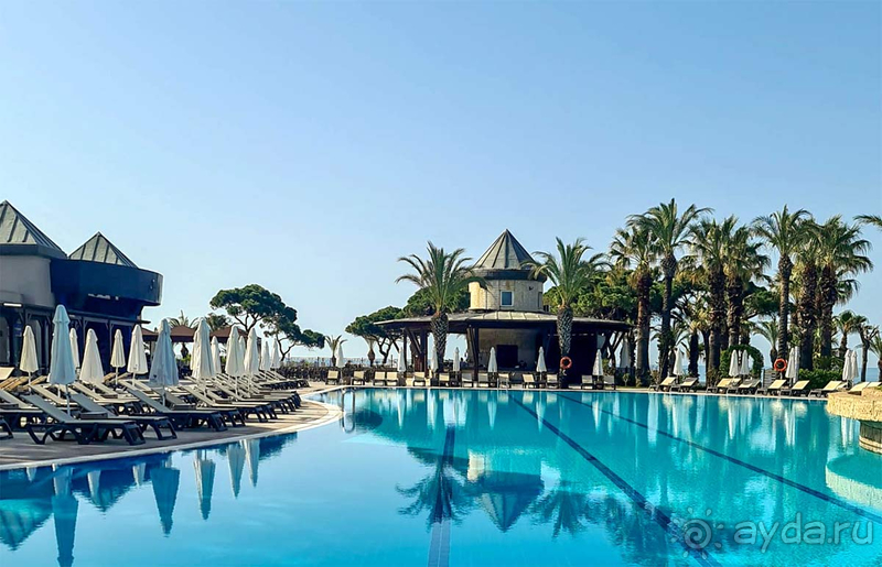 Papillon Ayscha - компактный и понятный. 