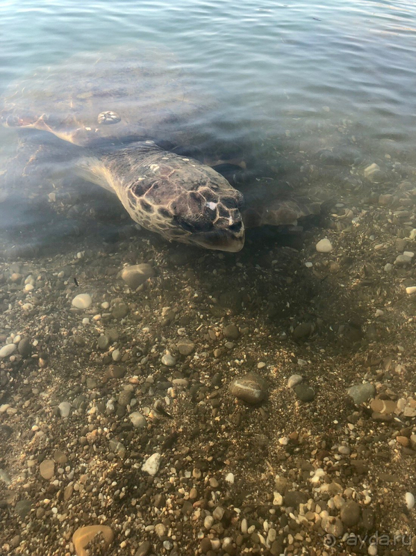 Отель очень старый