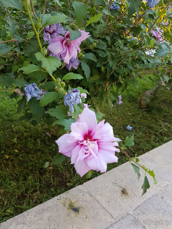 Хороший отель, на твердую четверку