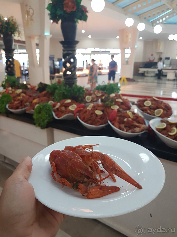 Хороший отель, на твердую четверку