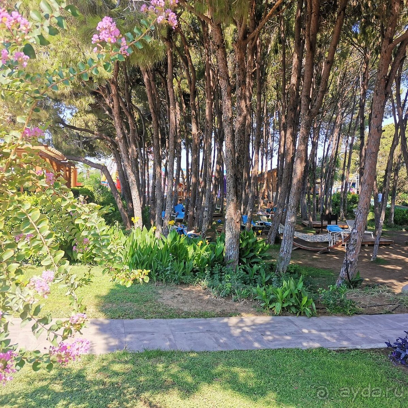 Желаю отелю обновиться