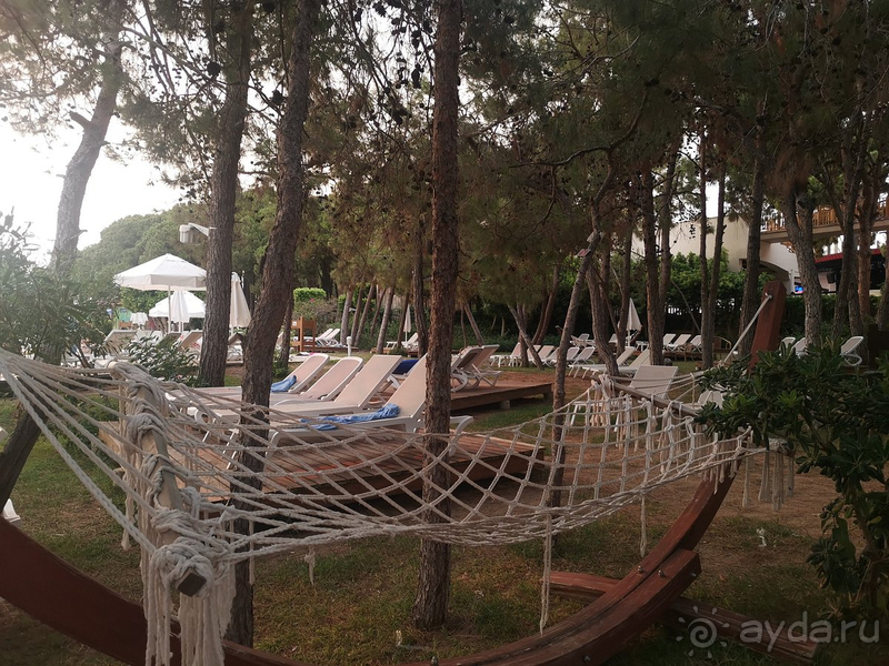 Желаю отелю обновиться