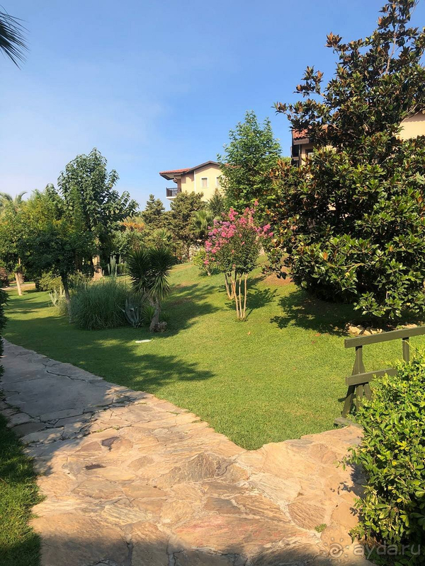 Прекрасный отдых в Paloma Grida