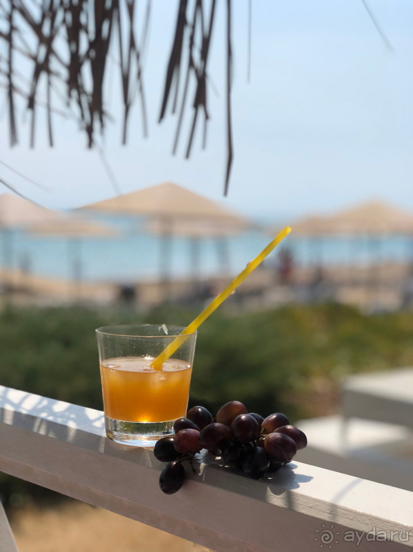 Прекрасный отдых в Paloma Grida