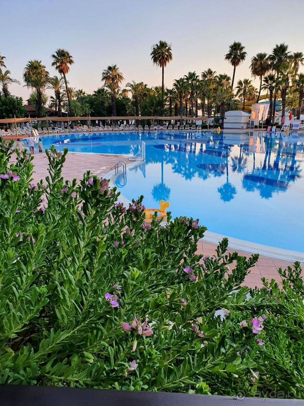 Приятный отель