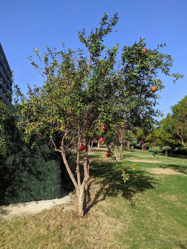 Остались очень довольны отдыхом в La Blanche Island Bodrum!