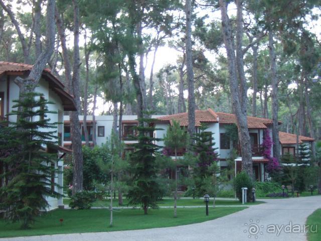 фото Voyage Sorgun 