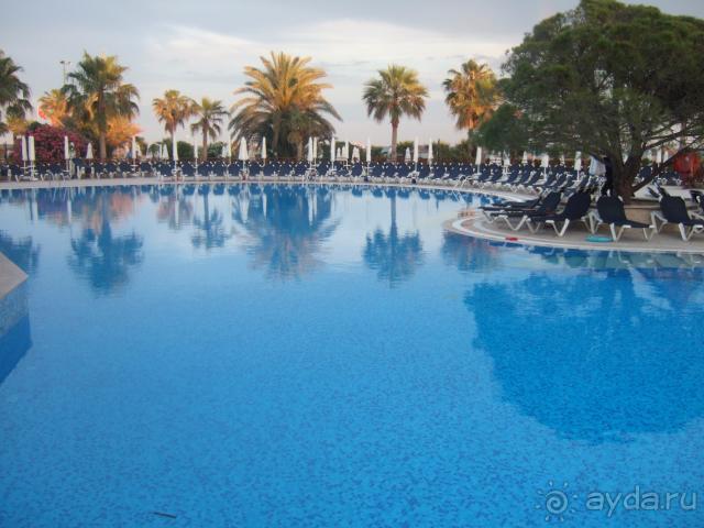 вид на бассейн