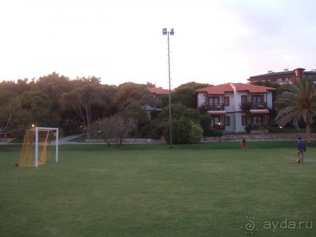футбольное поле