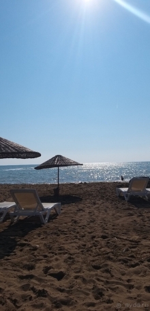 В принципе не плохо