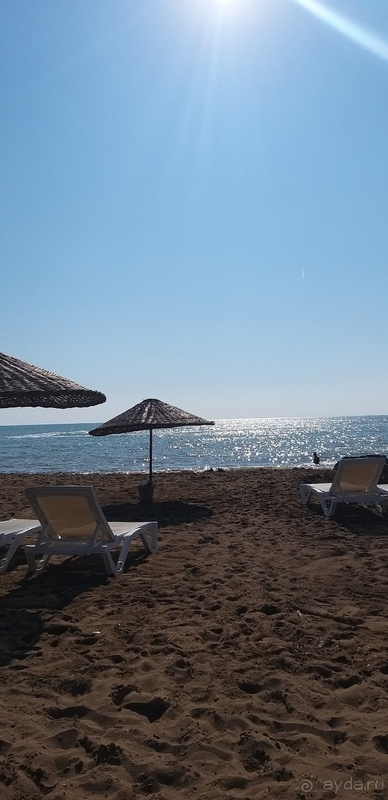 В принципе не плохо