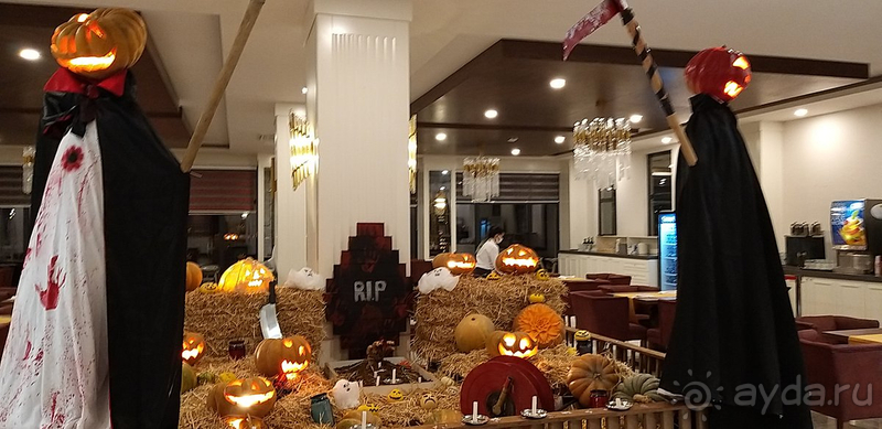 В принципе не плохо