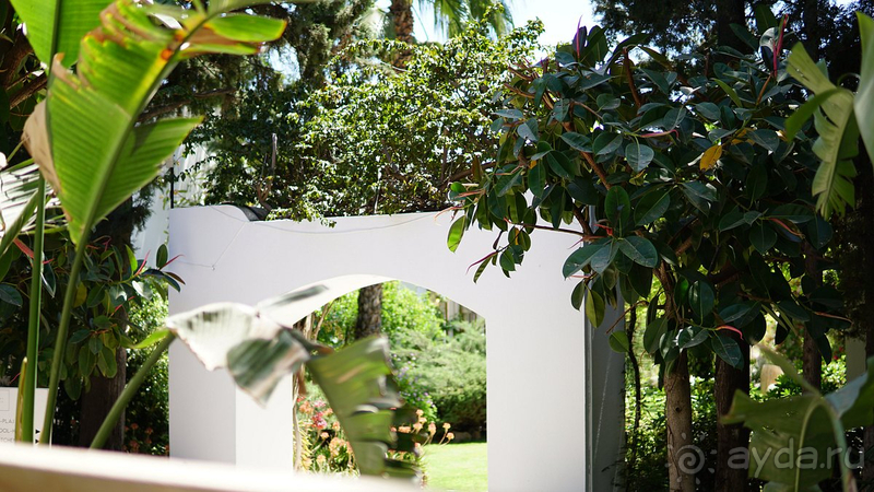 Хороший отель но не 5 звезд!