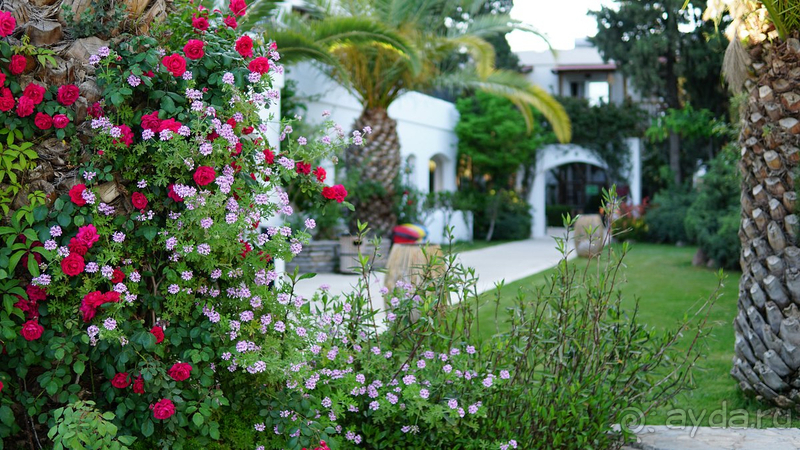 Хороший отель но не 5 звезд!