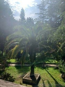 Прекрасный отель!