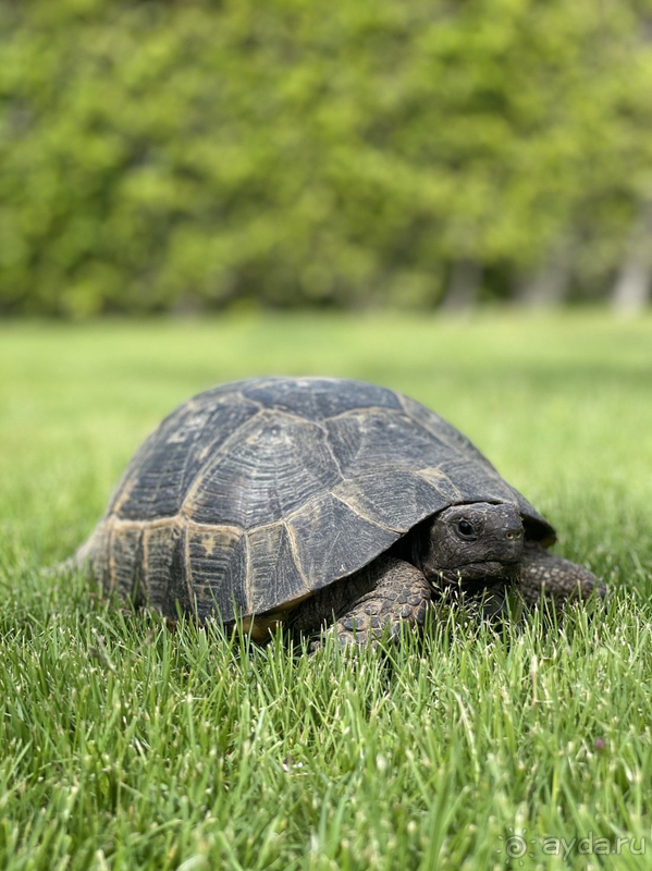Место, куда хочется вернуться