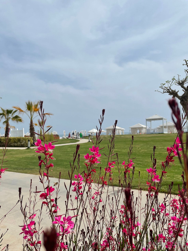 Место, куда хочется вернуться