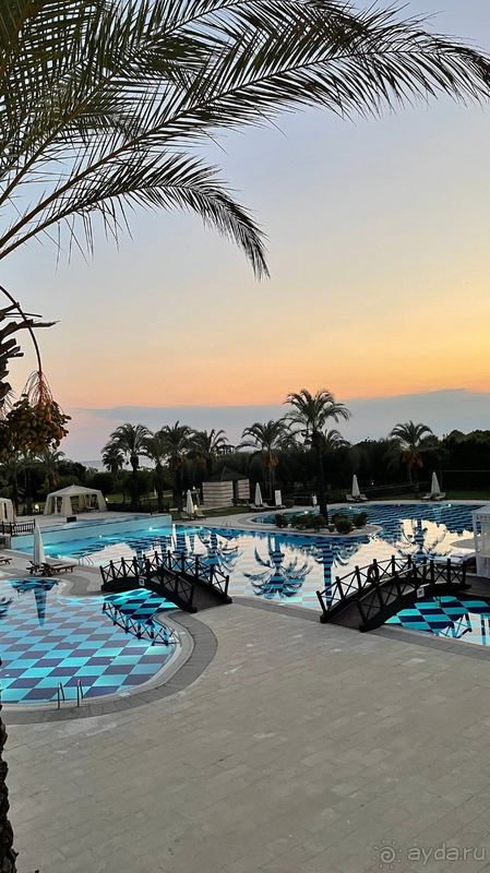 Чудесный отпуск