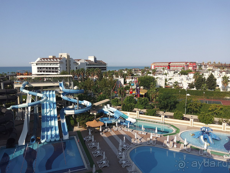 Идеальное соотношение цена-качество!