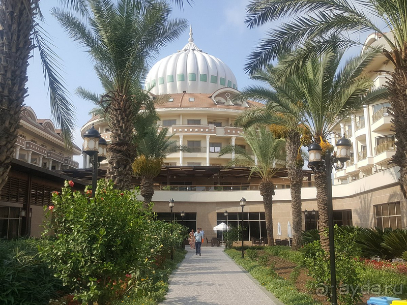 Идеальное соотношение цена-качество!