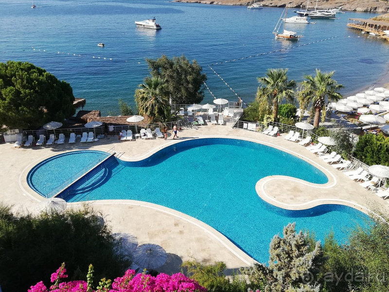 Отель просто ужасный. 