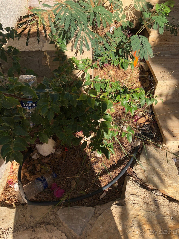 Такого не соответствия цены и качества еще не видела. Такого не соответствия цены и качества еще не видела.