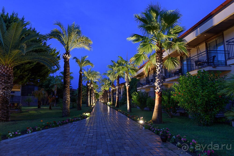 Чудесный отдых в идеальном отеле!