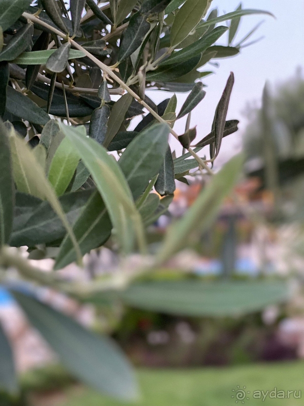 Полная перезагрузка