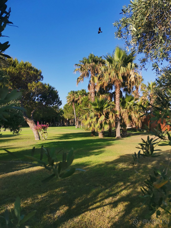 Blue waters club 5* Прекрасный отдых