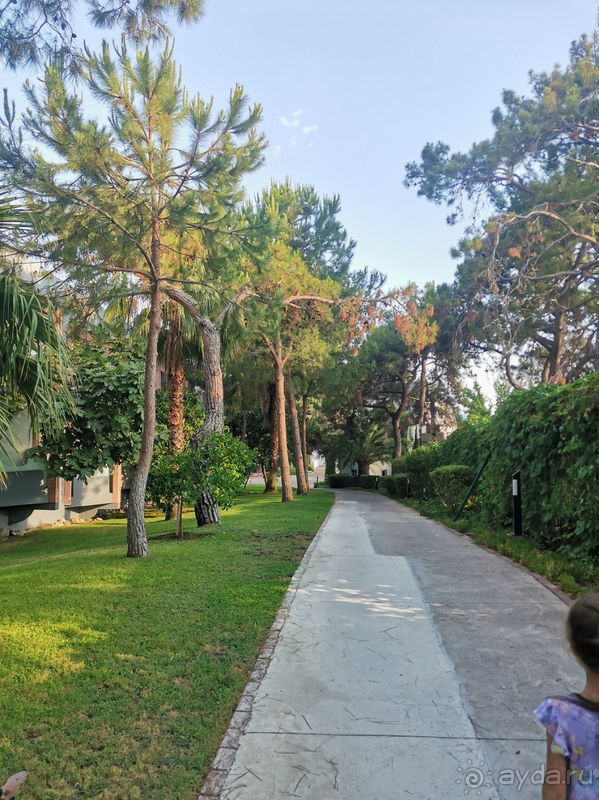 Blue waters club 5* Прекрасный отдых