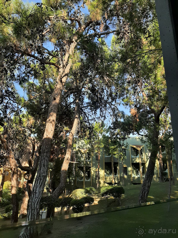 прекрасный отель!!!