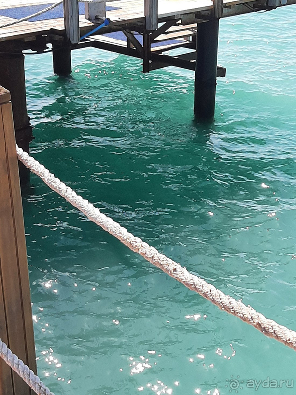 прекрасный отель!!!