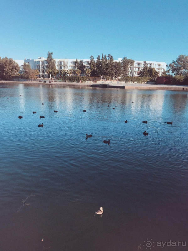 В целом нам отдых очень понравился
