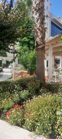 Шикарно отдохнули