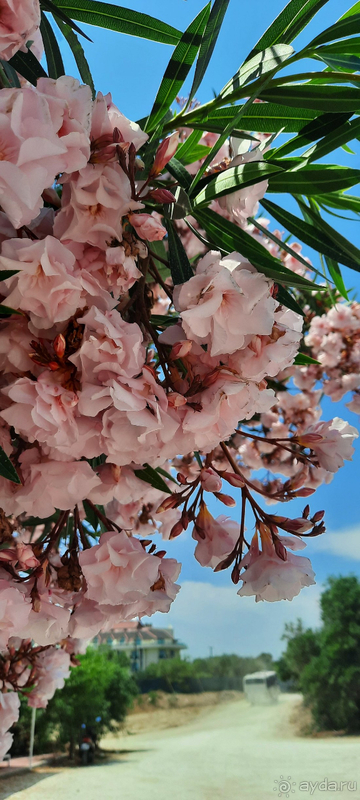 Шикарно отдохнули