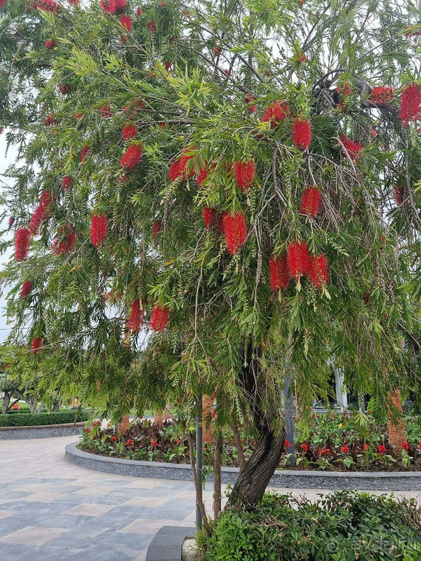 Прекрасные территория и месторасположение