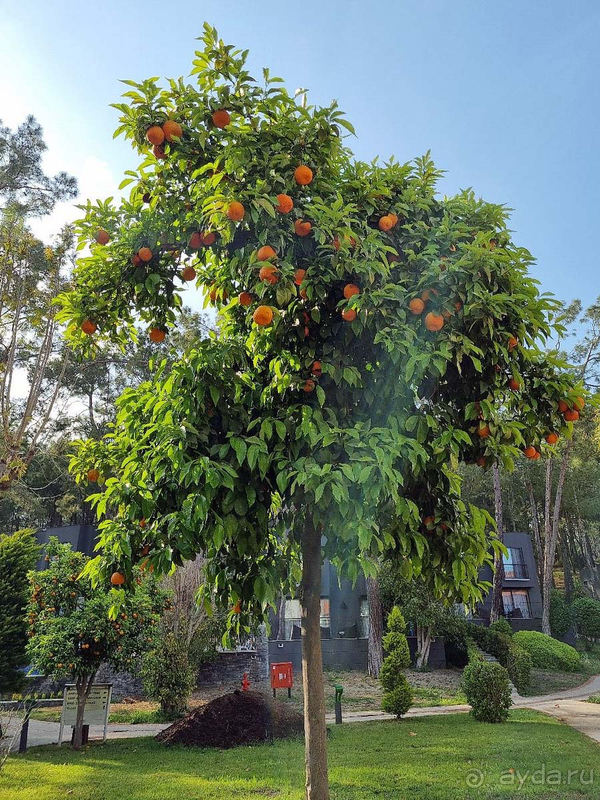 Прекрасные территория и месторасположение Прекрасные территория и месторасположение