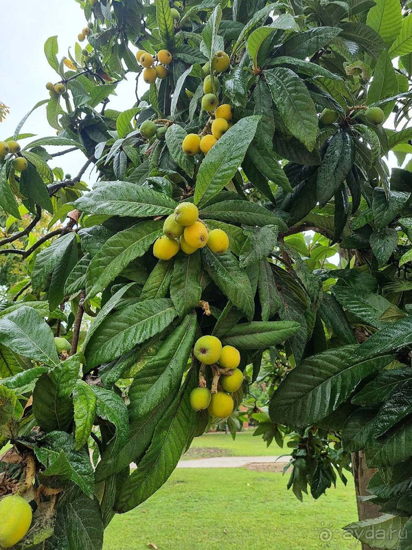 Прекрасные территория и месторасположение Прекрасные территория и месторасположение