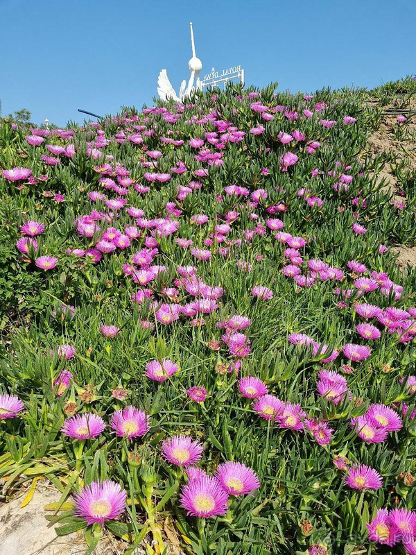 Прекрасные территория и месторасположение Прекрасные территория и месторасположение
