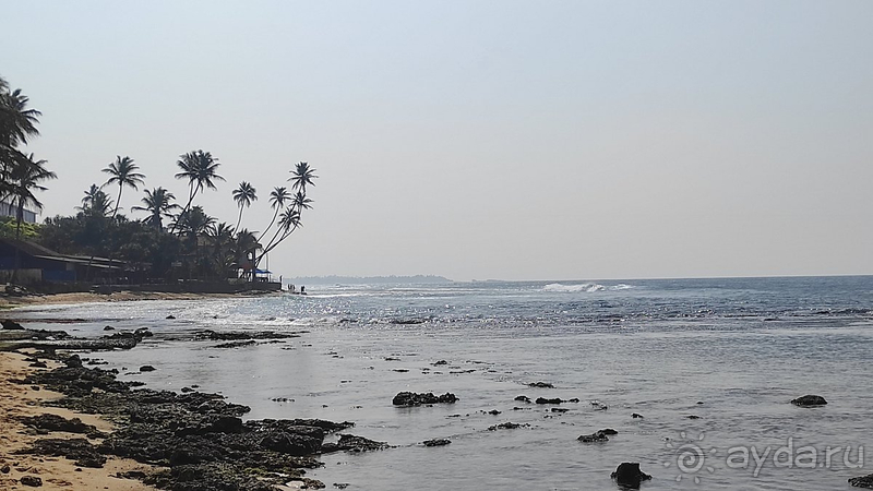 фото Lanka Supercorals