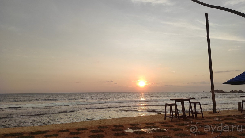 фото Lanka Supercorals