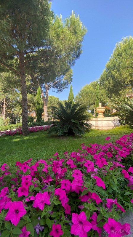 Bellis deluxe hotel - навсегда в моем сердце!