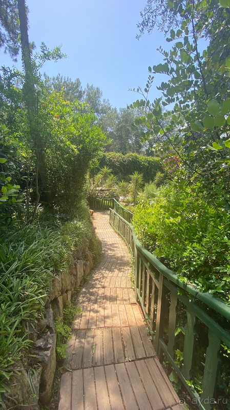 Bellis deluxe hotel - навсегда в моем сердце!