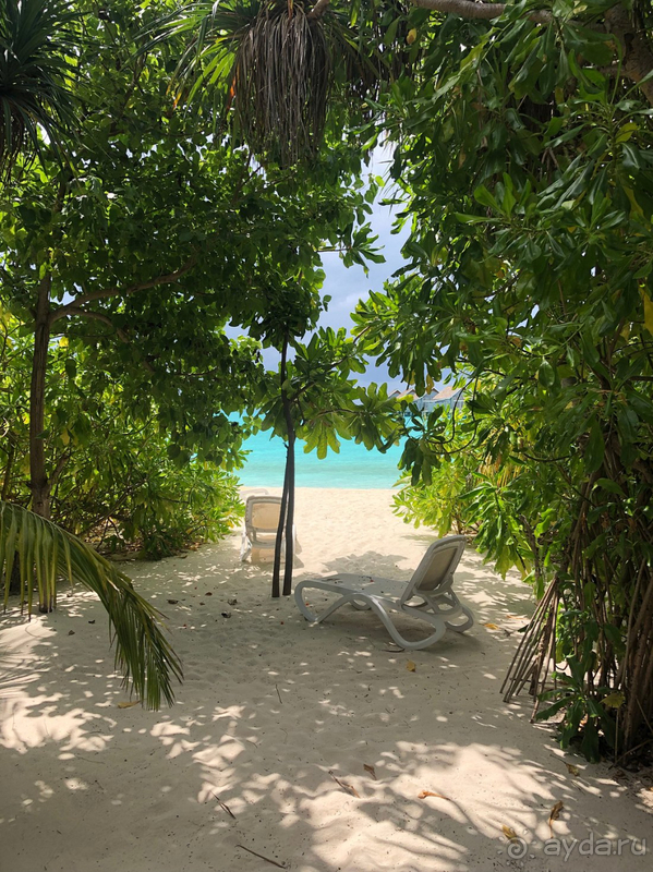 фото Kuramathi Island Resort