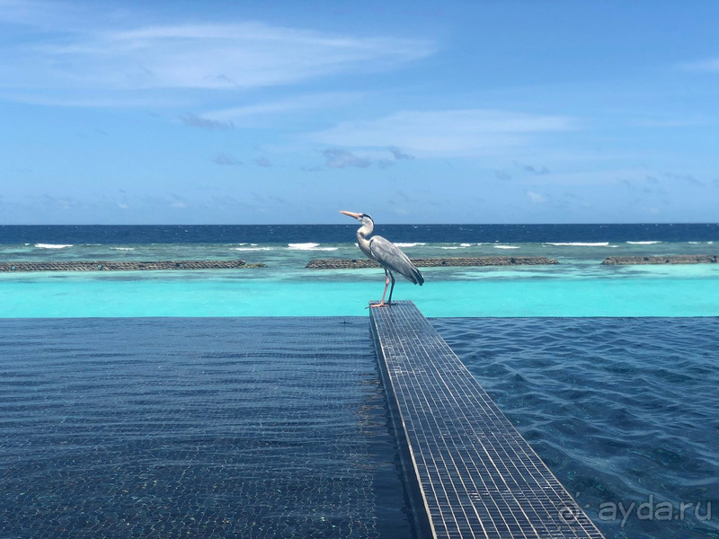 Прекрасное место для семейного отдыха с младенцем