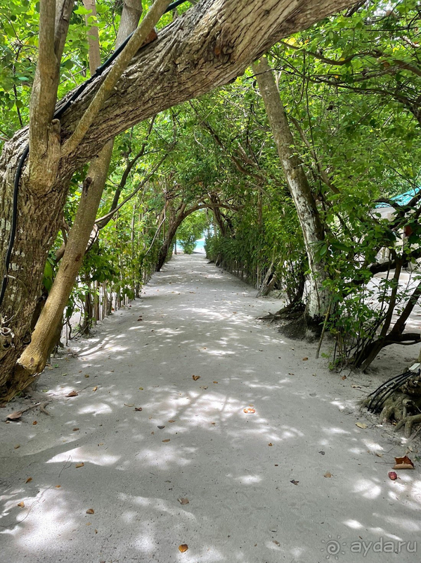 Голая правда