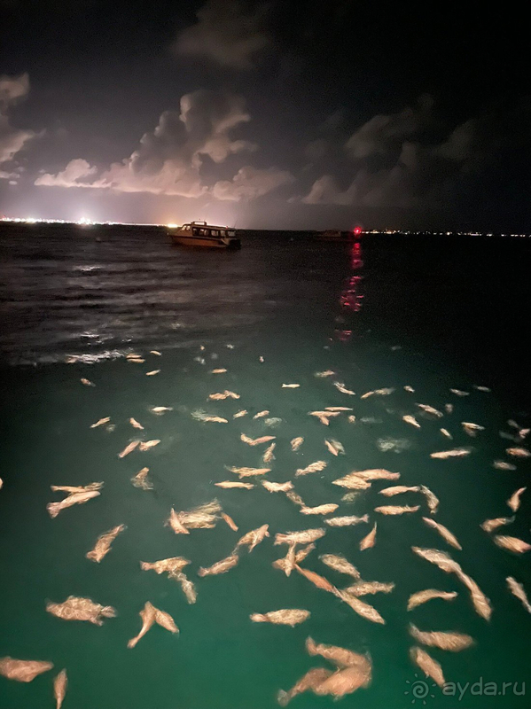 Голая правда