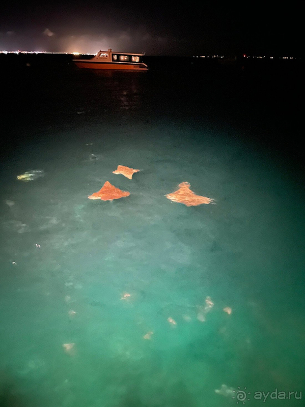 Голая правда