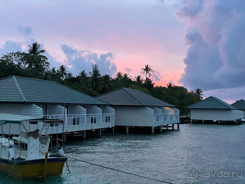 Голая правда