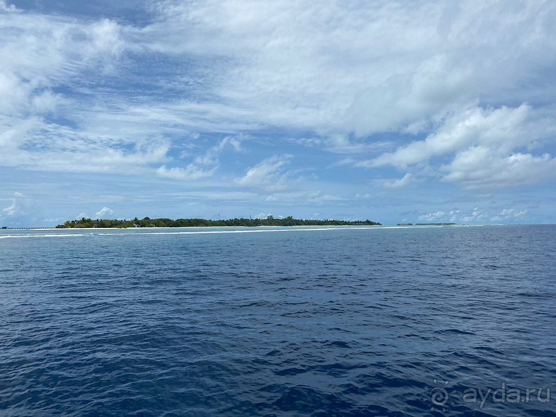 фото Vilamendhoo Island Resort